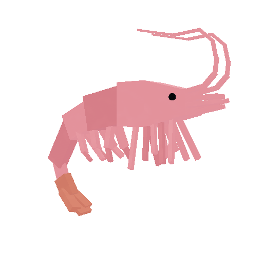 Shrimp